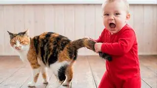 When Your Baby Thinks the Kitten Is Their Best Friend 😻🍼 | Cutest Moments Ever!