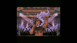 Salad Bowl Steppaz- California Outlaw (Live)