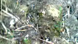 Ben 100000