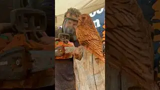 Chainsaw Carving an Owl Out of a Log in 60 Seconds 🪵🦉 #shorts