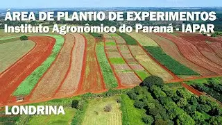 &Aacute;REA DE PLANTIO de EXPERIMENTOS e PESQUISAS - Instituto Agron&ocirc;mico do Paran&aacute;, IAPAR  - Londrina