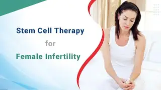 Can Stem Cell Therapy be Helpful in Female Infertility?#Infertility #femaleinfertility