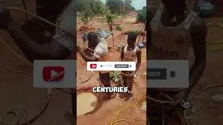 💎 Central African Republic Land of Diamonds, Gold, & Uranium! #gold #uranium #diamond #shorts #fact