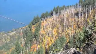 Hiking Angels Rest- Hiking Oregon Trails- Episode 8- 