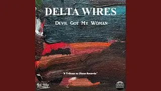 Devil Got My Woman