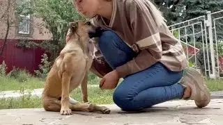 She has been Paralyzed Since She was a Baby Her Back Legs Were Like a Taut String
