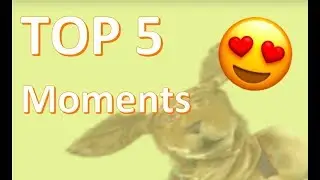 Top 5 Russell The Muscly Kangaroo Moments