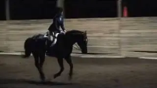 Sophia I Howard equestrian english3.mpg