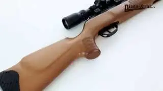 Crosman Venom 8 CVW1K77NP