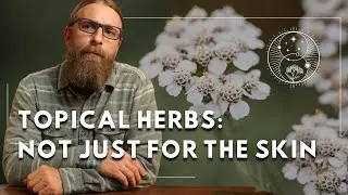 A Practitioner&rsquo;s Guide to Topical Herbal Remedies