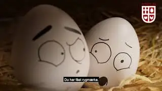 Forn&oslash;jelse - Danske &aelig;g taler ud.