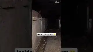 Der Zustand dieses Bauernhofs spricht B&auml;nde.