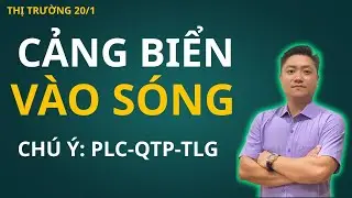CHỨNG KHOÁN 20/1 : CỔ PHIẾU CẢNG BIỂN VÀO SÓNG TĂNG