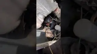 LG Washing Machine BE / BAr Error Fix | Button Error का असली कारण और समाधान | Quick Repair Guide