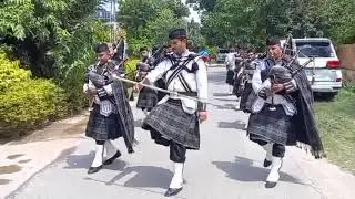 Shar Dill Fuji Band 03279130090