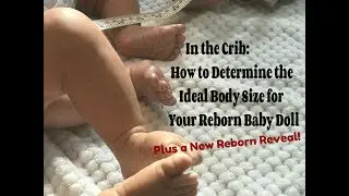 In the Crib: How to Determine the Ideal Body Size for a Reborn Doll! A New Reborn!