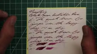 Noodler's Black Swan in Australian Rose Fountain Pen Ink #fountainpenink #fountainpens