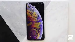 Screen Patrol Temper Glass Installation for the New iPhone XS Max!