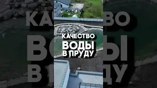 Какое качество у воды в пруду?
