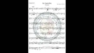 Die Zauberflote - La Flauta Magica- W. A. Mozart -Overture