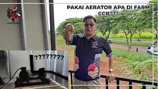 PAKAI AERATOR APA DI FARM CCB????
