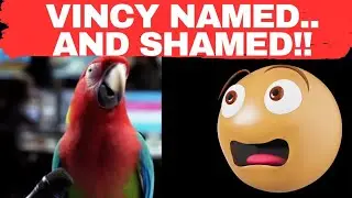 SVG Named and Shamed in U.S. Welfare List!