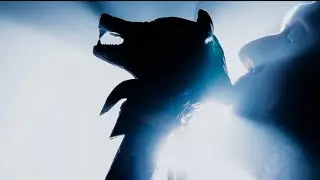 the Birth of AwareWolves
