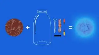 How does a microbial fuel cell work?