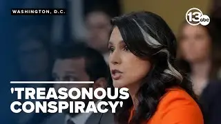 Gabbard details declassified documents, claims Obama officials manufactured intelligence