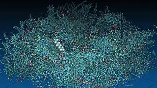 Non-polar oil interaction with kerogen