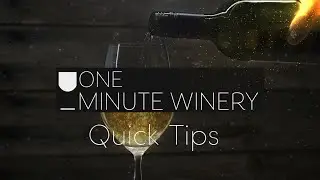 One-Minute Winery: Welcome to Quick Tips