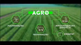 LNZ Group - надійність перевірена часом