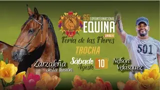 65ª EXPOINTERNACIONAL EQUINA FERIA DE LAS FLORES 2024 - DIA 5 - TROCHA COLOMBIANA.