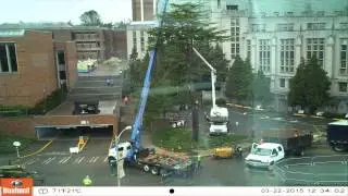 Short Time-Lapse of the removal of a large tree at the UW. Video 2 of 3.