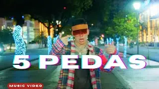 5 PEDAS - Diego Villacis DVM | VISUALIZER