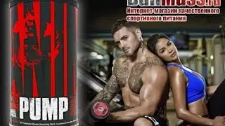 Комплекс Universal Nutrition ANIMAL PUMP от Магазина спортивного питание BullMass.ru