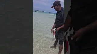 Snake 🐍 on Elephant Beach |Water Snake |Havelock|Andaman  #andaman #song #love #fyp #youtube #shorts