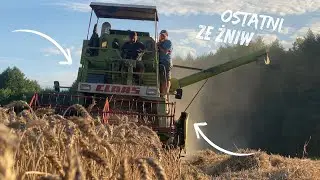 Żniwa Przenicy 2025!!✔Gr Awianowicz✔Ostatni Vlog Ze Żniw?