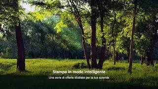 FastOffice & GBR Rossetto - Programma di riforestazione