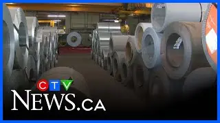 Zekelman reacts to Buy Canadian policy