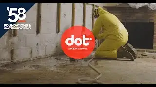 Mold removal with less chemicals. Safer for you and safer for the environment.