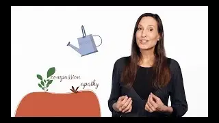Episode 6: Water the Right Seeds
