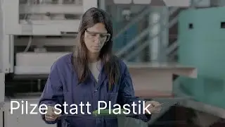 Pilze statt Plastik | FHNW eMagazin 3/2024
