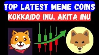 The Latest Meme Coins: Hokkaido Inu, Akita Inu, and More in the Spotlight!