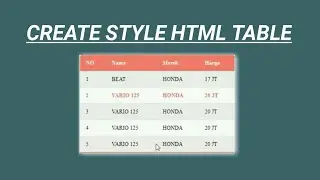 Styling HTML TABLES WHITE CSS | WEB DESIGN