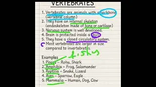 General characteristics of vertebrates| vertebrates | explain vertebrates 