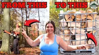 From Standing Tree to Firewood! Full Process!