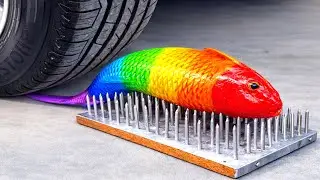 Experiment Car vs Sharp Nails & Colorful Fish 🔥🐟 | 자동차로 바삭하고 부드러운 것들을 부수기! y4test