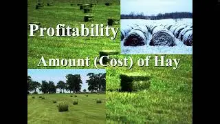 Benefits of rotational grazing-Ray Smith