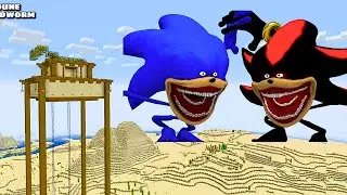 SURVIVING FROM SCARY SHIN SONIC 😱 in Minecraft | Minecraft Horror | Shin Sonic |